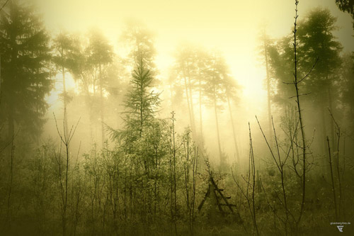 fotoserie böhmische wälder